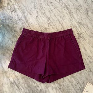 J. Crew - Purple / Plum Linen Shorts - Size 2